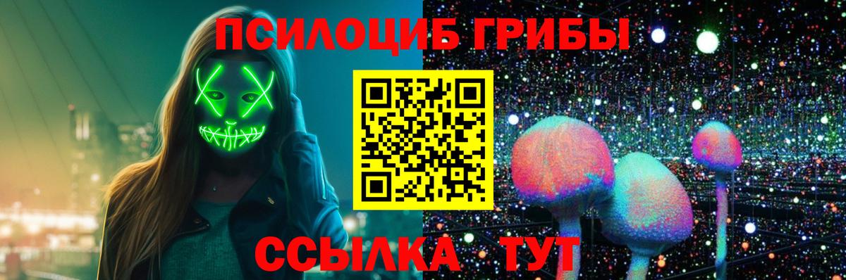 Псилоцибиновые грибы мицелий  где найти   Псилоцибиновые грибы GOLDEN TEACHER  Тулун  Вход с VPN 